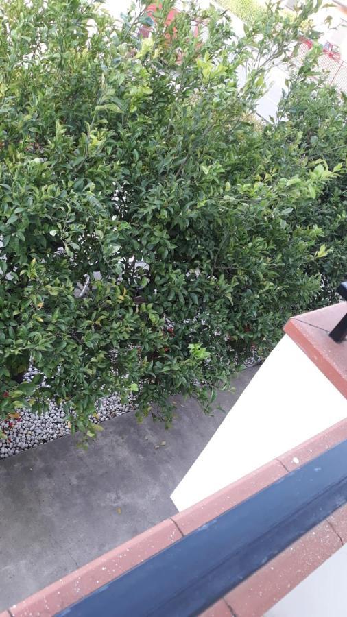 فندق Locanda Ermes كاباتشو - بايستوم المظهر الخارجي الصورة